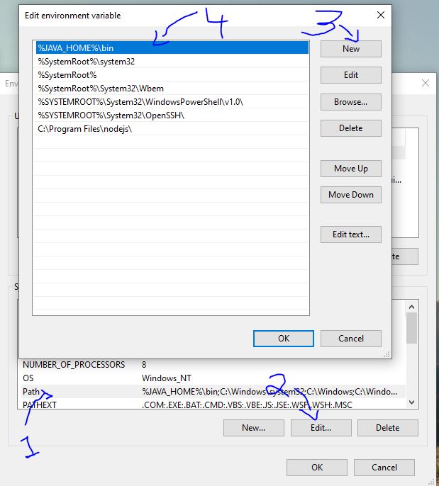 JAVA_HOME system properties windows.